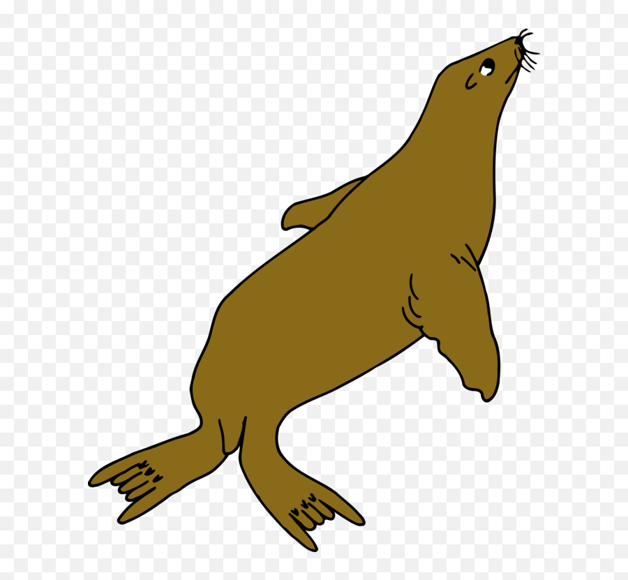 Mammal Drawing Ocean Picture - Sea Lion Clipart Transparent Emoji,Sea Lion Emoji