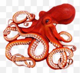 Popular And Trending Different Stickers On Picsart - Octopus Png Emoji,Octopus Pen Emoji