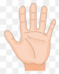 Human Hand - Palm Side clipart Free download transparent Clio Art Emoji