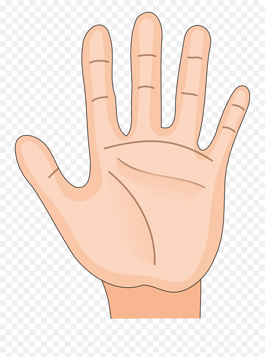 Human Hand - Palm Side Clipart Free Download Transparent Hand Palm Clio Art Emoji,Palm To Face Emoji