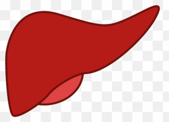 Liver Disease Tattoo Clip Art Diagram Drawing - Transparent Background Clipart Emoji