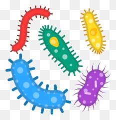 Microbe emoji clipart Free download transparent PNG - Bacteria Emoji