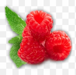 4570book - Raspberry Png Emoji,Raspberries Emoticon