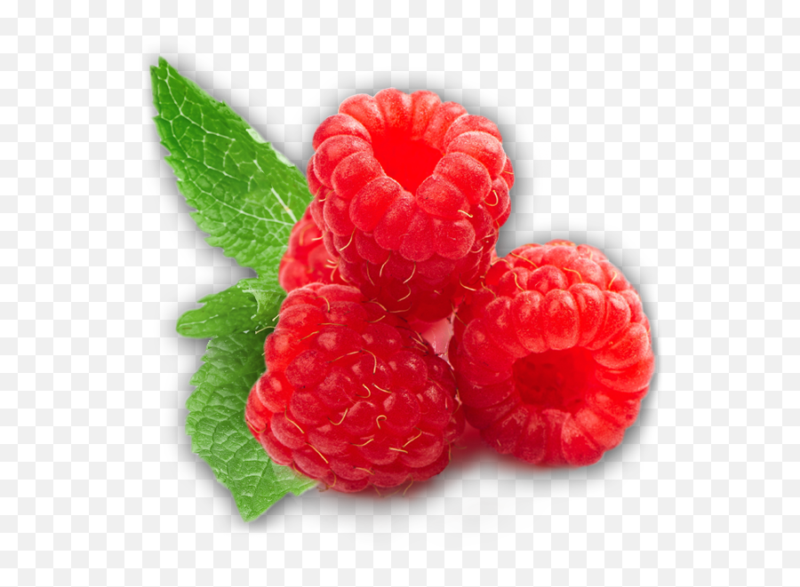 4570book - Raspberry Png Emoji,Raspberries Emoticon