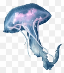 Aguaviva Jellyfish - Mane Jellyfish Png Emoji,Jellyfish Emoji