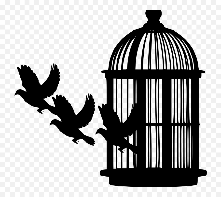 Bird Cage Silhouette - Draw A Bird Cage Emoji,Trap House Emoji