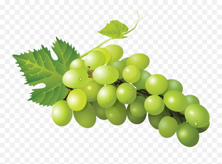 Sultana Grape Zante Currant Seedless - Clip Art Grapes Transparent Emoji,Grape Emoji Png