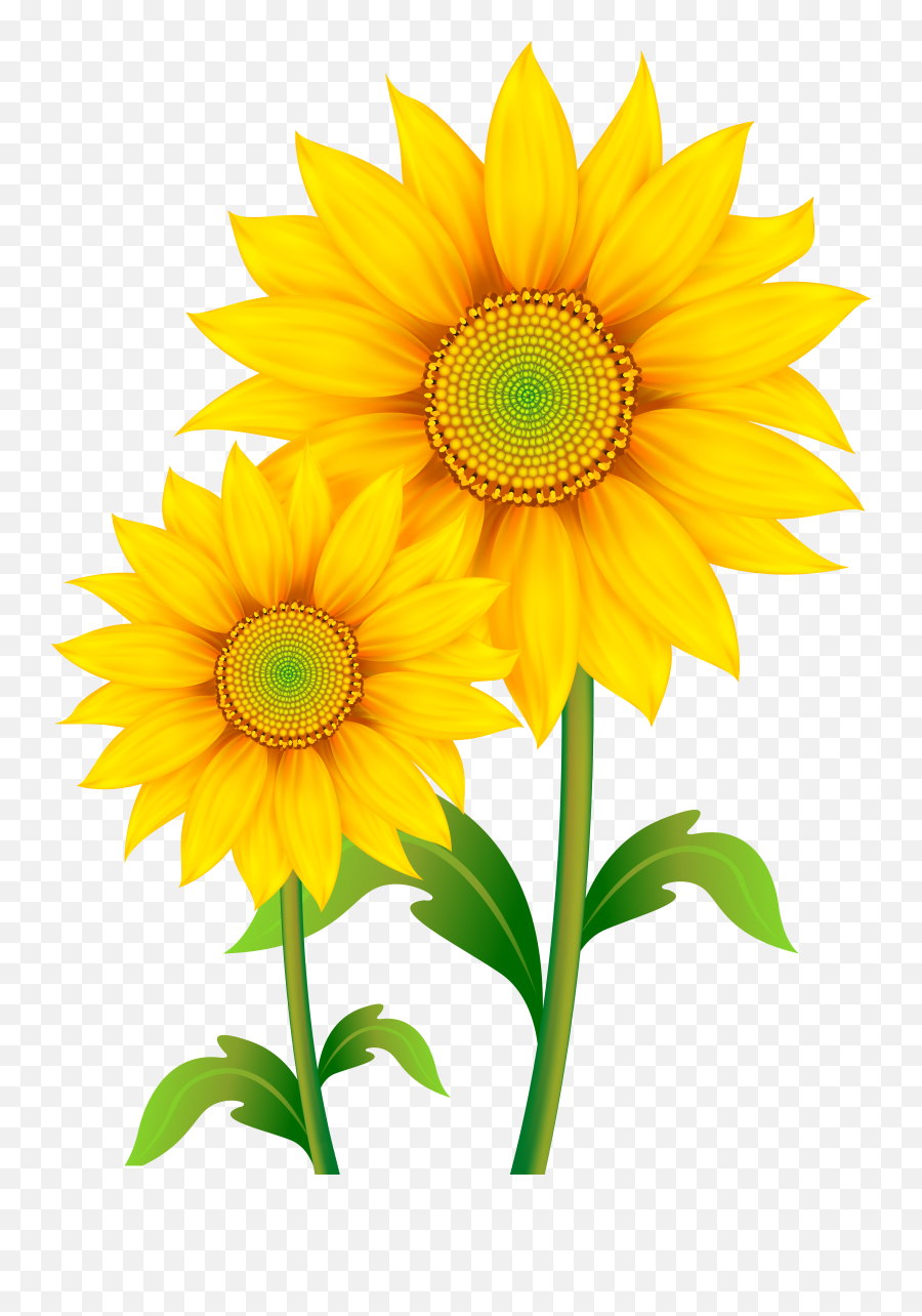 Sunflower Clipart Wallpaper Emoji,Sunflower Emoji