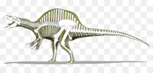 Spinosaurus Skeleton - Of A Emoji