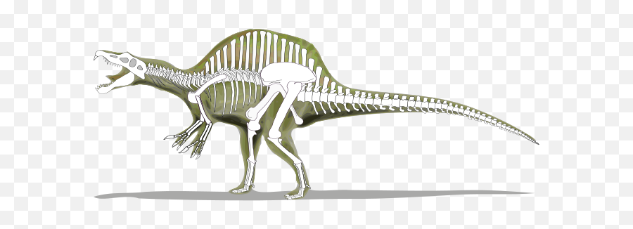 Spinosaurus Skeleton - Skeleton Of A Spinosaurus Emoji,Dinosaur Text Emoticon