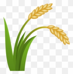 Of - Rice Plant Png Icon Emoji,Rice Emoji