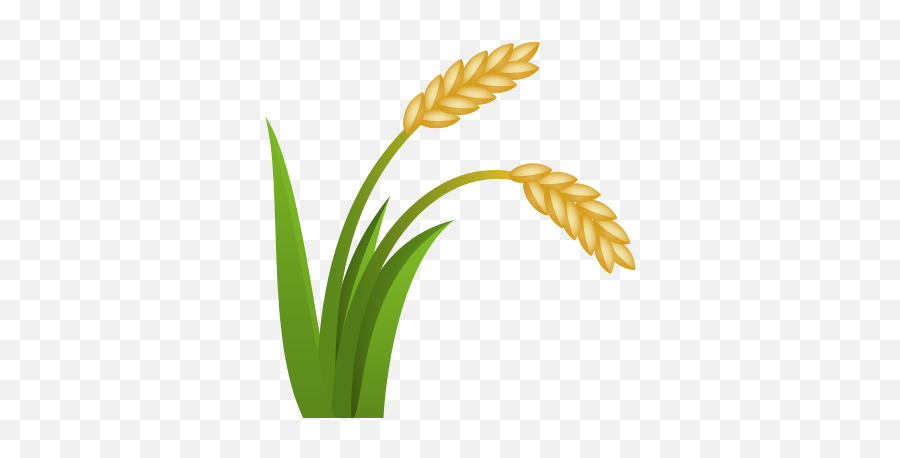 Of - Rice Plant Png Icon Emoji,Rice Emoji