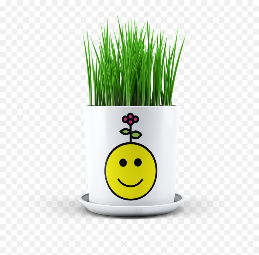Happy Emoji Planter - Smiley,Sprout Emoji