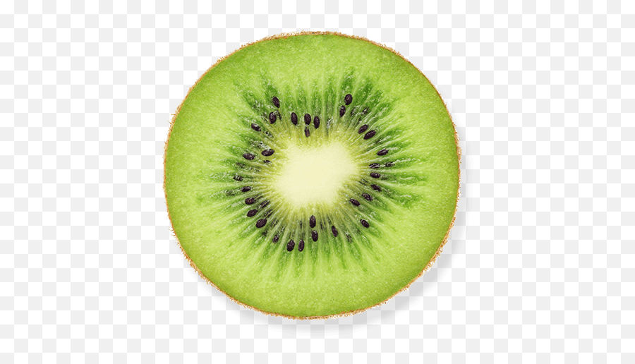 Kiwi Png Image Free Fruit Kiwi Clipart - Kiwi Png Emoji,Whip Emojis