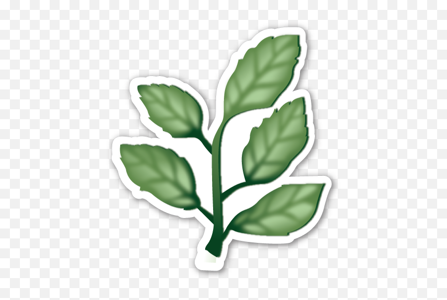 Herb - Plant Emoji No Background,Plant Emoji
