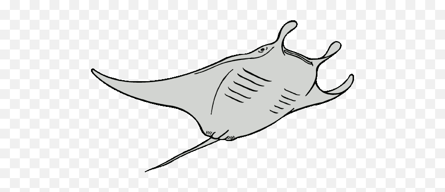 Stingray Clipart Black And White - Manta Ray Clip Art Emoji,Stingray Emoji