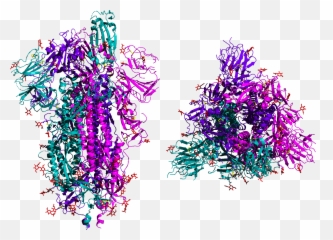 What the coronavirus does to your body that makes it so Emoji