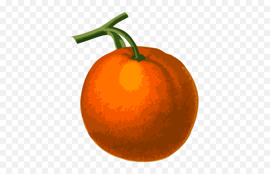 Orange Fruit - Vektor Buah Jeruk Emoji,Orange Emoji