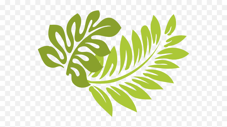 Palm Tree Leaf Png Clip Art - Hibiscus Clip Art Full Size Tropical Leaves Clip Art Emoji,Leaves Emoji