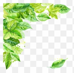 Transparent Background Hq Png Image - Transparent Background Leaves Png Emoji,Leaf Pig Emoji