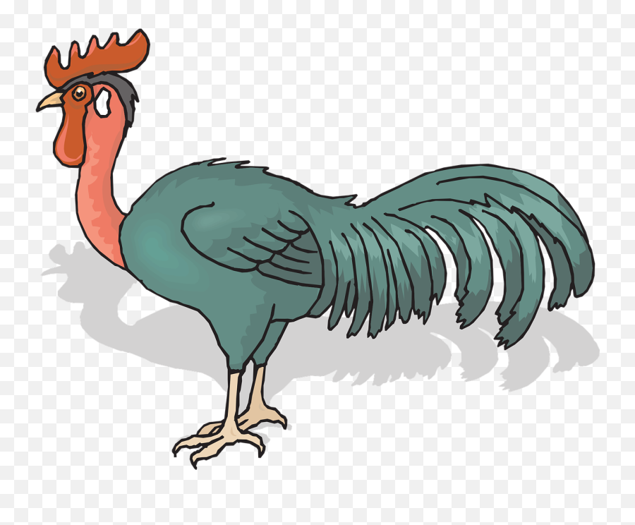 Rooster Cock Cockerel Male Chicken - Anh Dong Con Ga Trong Emoji,Dancing Chicken Emoticon