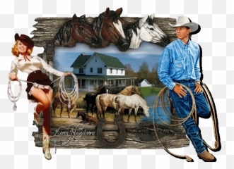 Top Redneck Horse Stickers For Android - Indianen En Cowboy Achtergrond Emoji