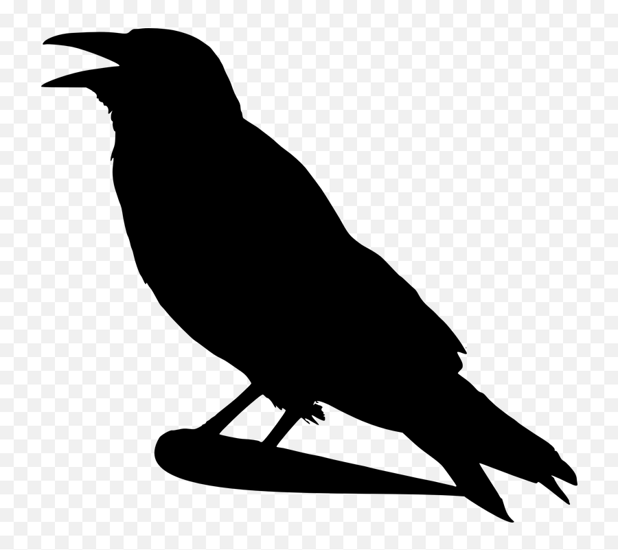 Crow Raven Bird - Crow Silhouette Emoji,Eagle Emoji