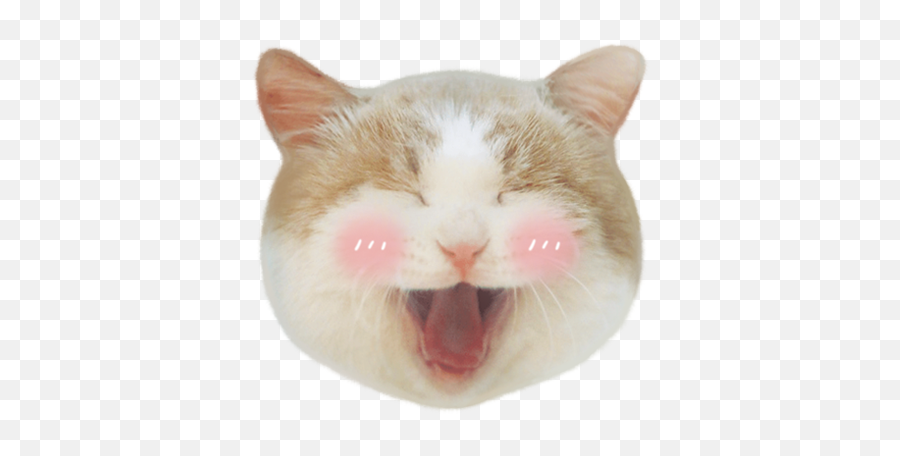 Cat Meow Emoji - Cat,Meow Emoji