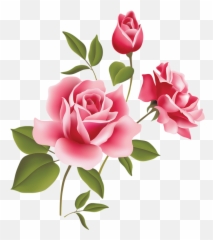 Full Rose Drawing - Pink Clipart Emoji