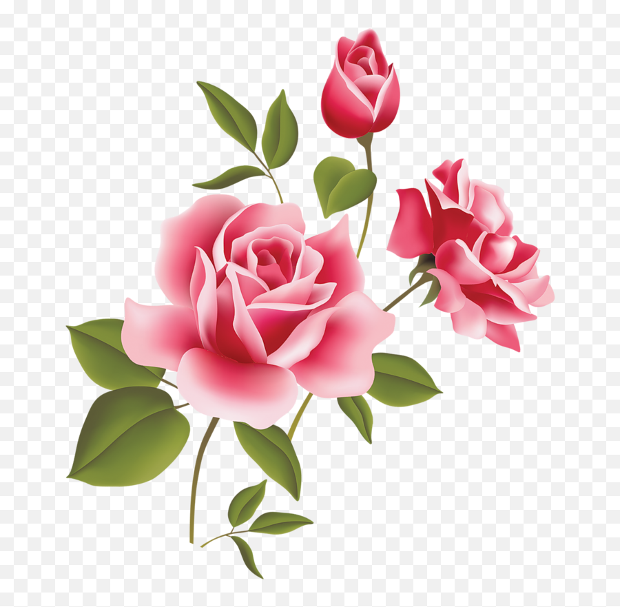 Full Rose Drawing - Pink Rose Clipart Emoji,Emoji Roses