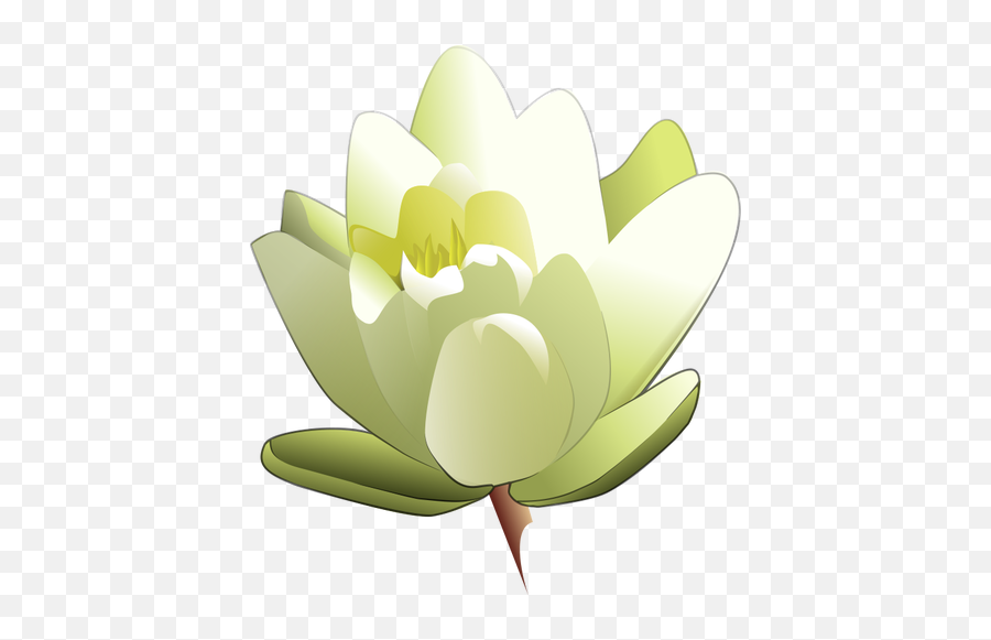 Water Lily Vector Image - Water Lily Clipart Emoji,Lily Pad Emoji