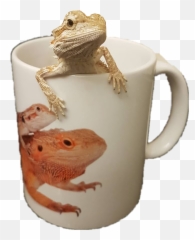 And Trending Kertenkele Stickers - Mug Emoji,Frog And Coffee Cup Emoji