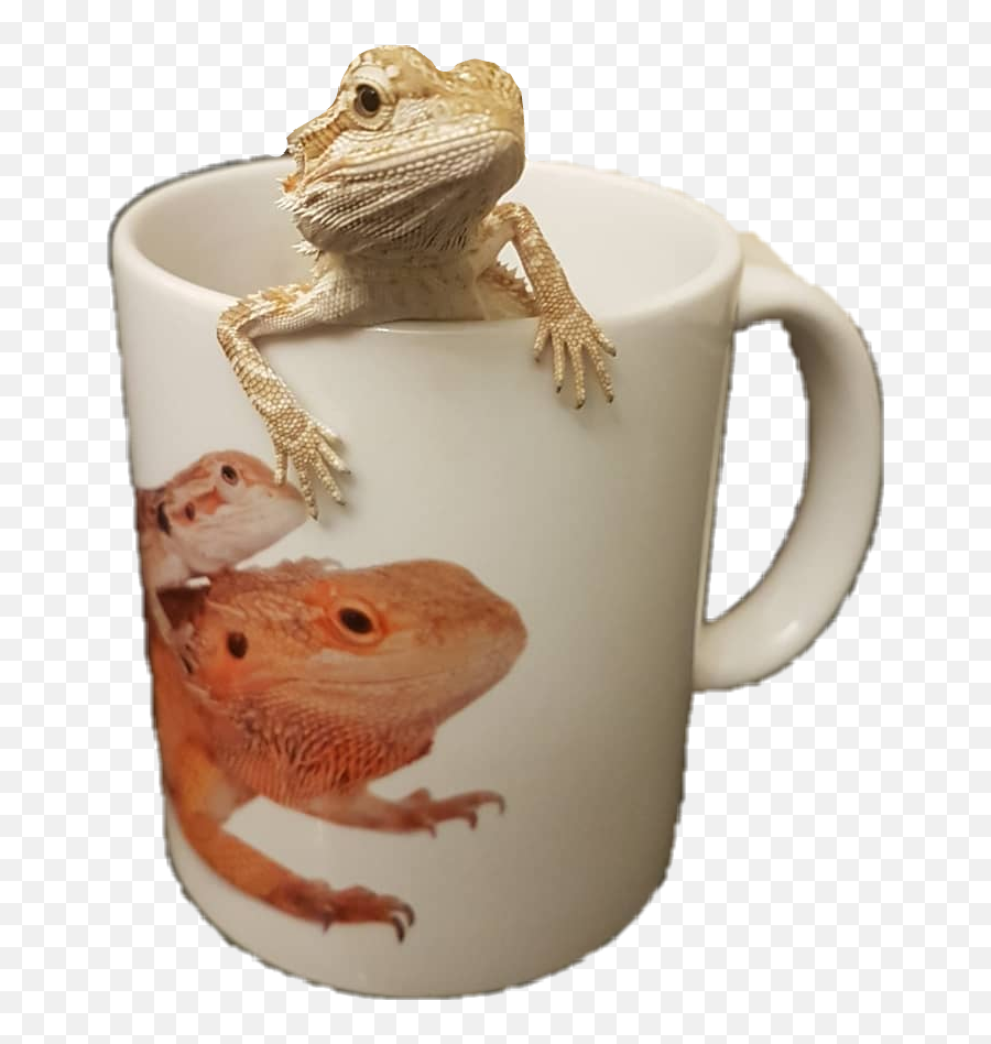 And Trending Kertenkele Stickers - Mug Emoji,Frog And Coffee Cup Emoji