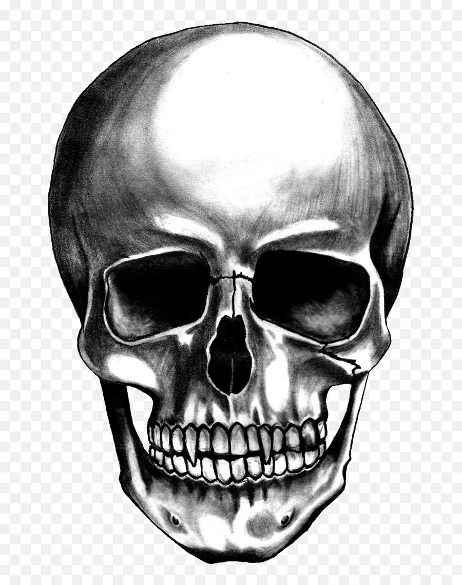 Png Images - Skull Transparent Png Emoji,Death Skull Emoji