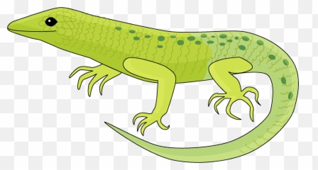 Lizard Clipart - Lizard Clipart Emoji,Lizard Emoji