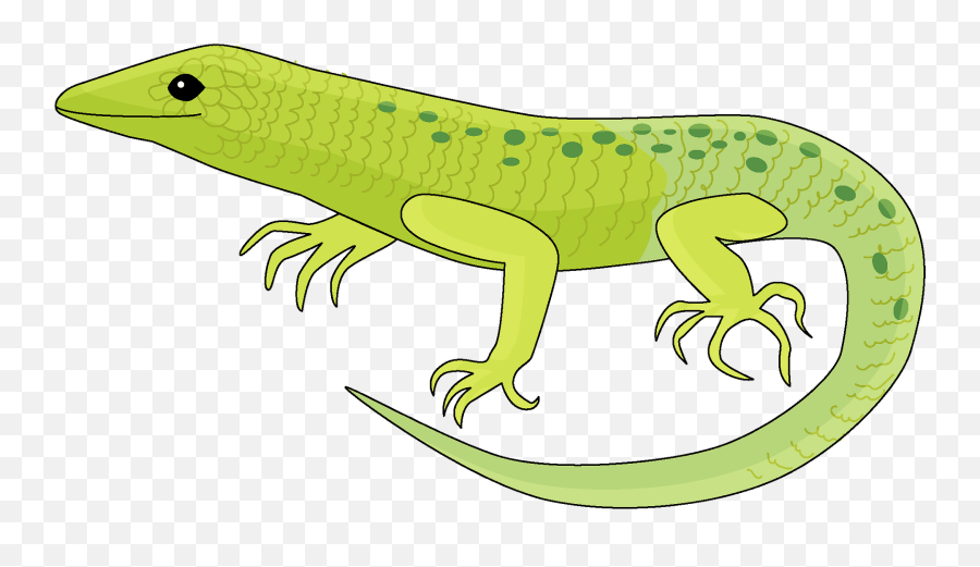Lizard Clipart - Lizard Clipart Emoji,Lizard Emoji