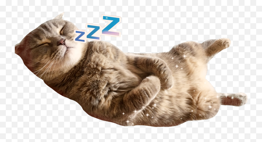 Sleepy Kitty Aww - Domestic Cat Emoji,Cat And Zzz Emoji