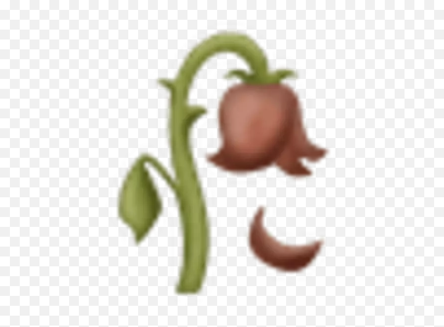 We Ranked All 77 Of The New Emoji - Iphone Rose Emoji Png,Wilted Flower Emoji