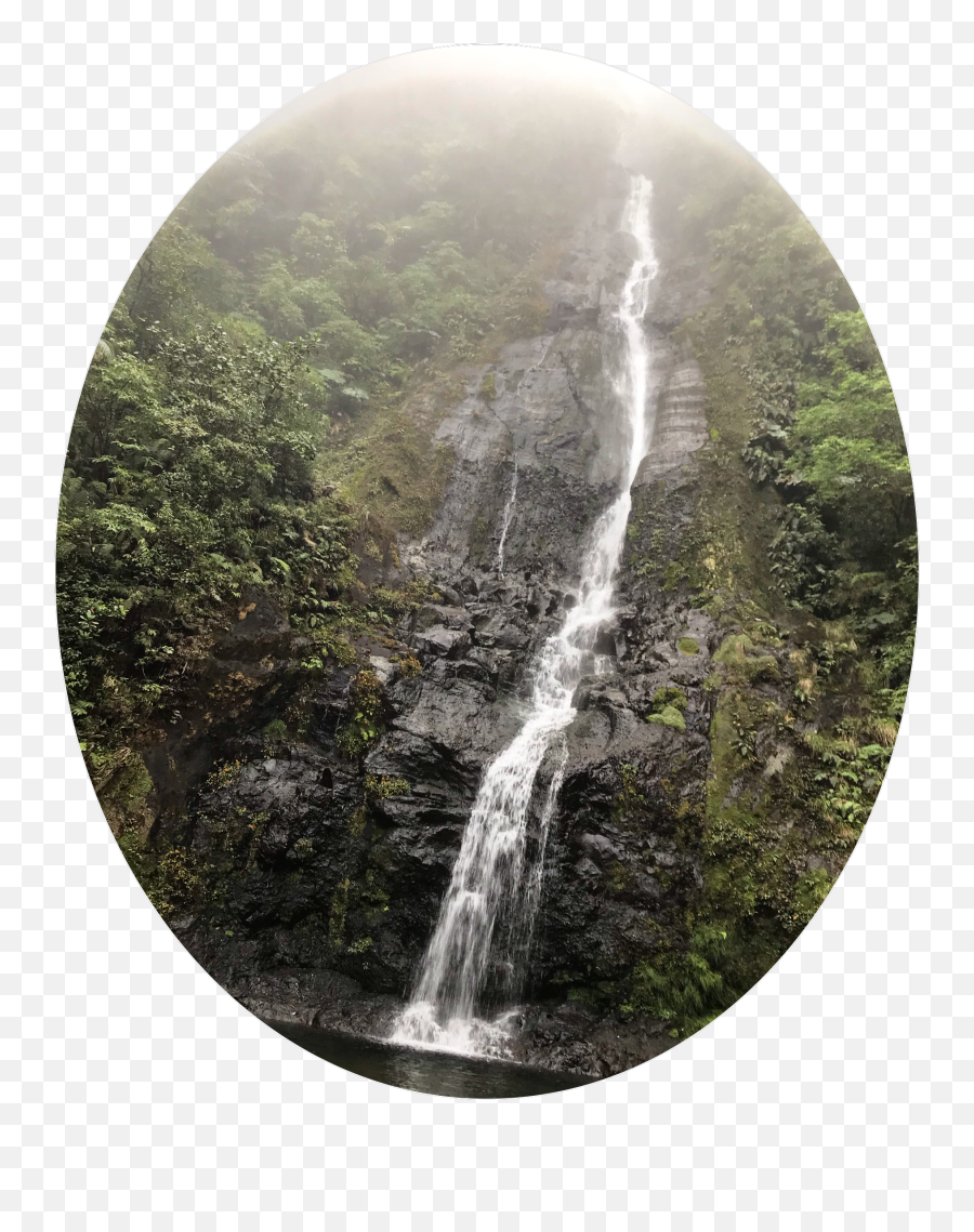 Water Waterfall Forest Costa Rica Sticker By George - Natural Landscape Emoji,Waterfall Emoji