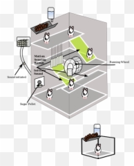 Vector Graphics Of Mouse Experiment Trap - Diagram Emoji