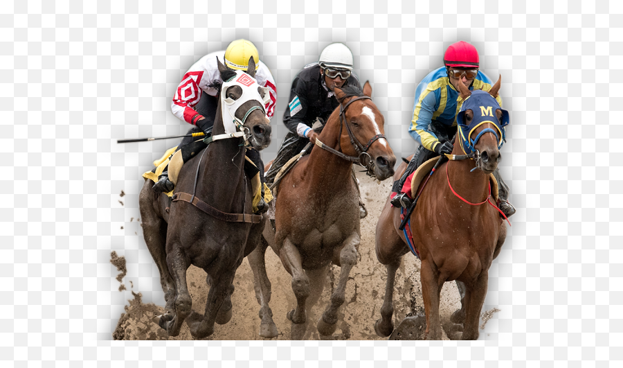 Horse Race - Transparent Horse Race Png Emoji,Kentucky Derby Emoji