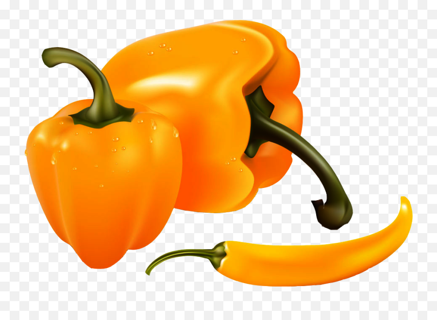 Bell Banana Clip Art Persimmon Vector - Realistic Bell Transparent Scotch Bonnet Pepper Png Emoji,Green Pepper Emoji
