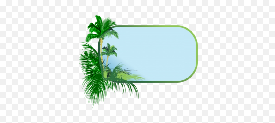 Palm Tree Border Clipart - Palm Trees Frame Png Emoji,Palm Tree Book Emoji