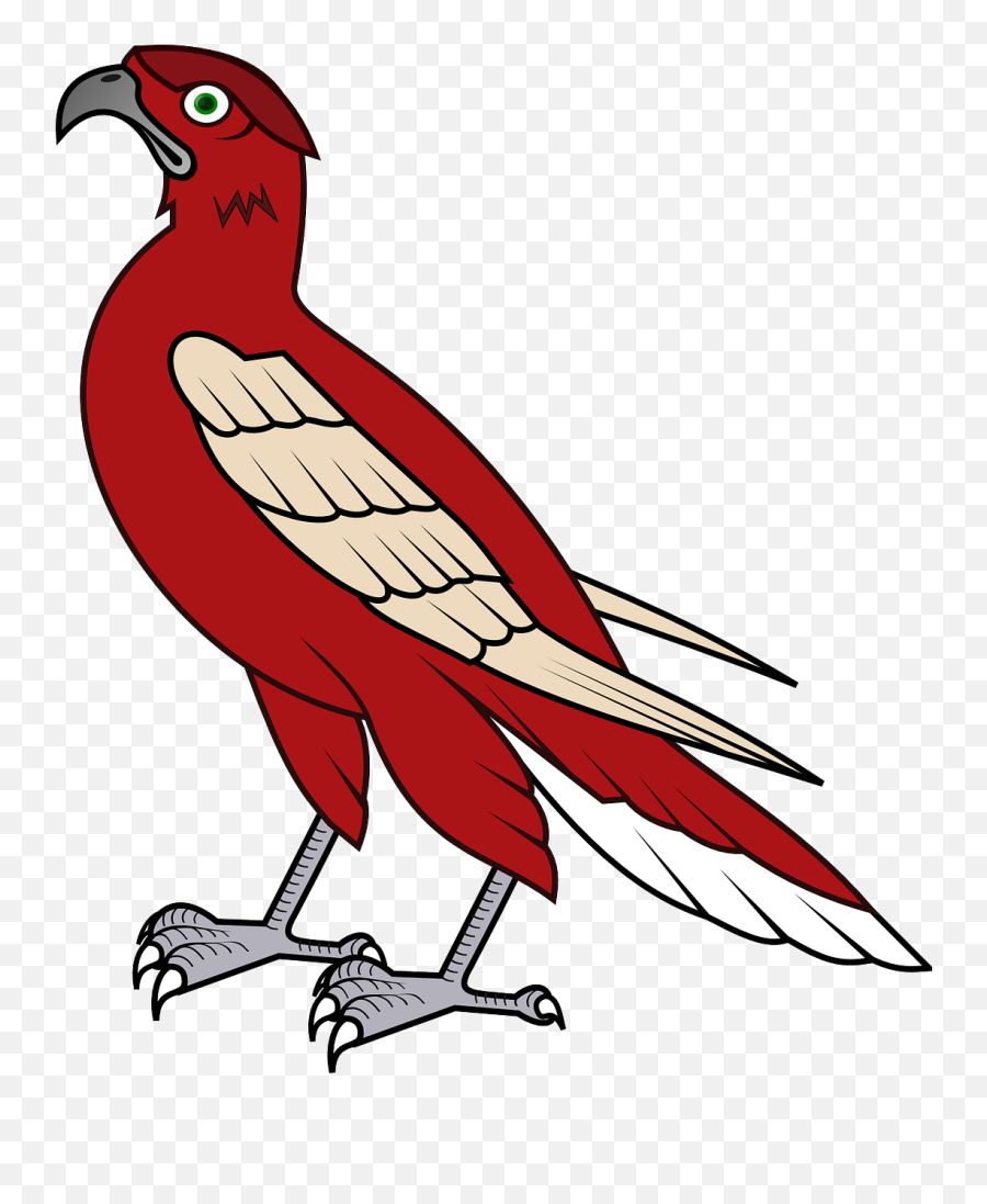 Hawk Bird Falcon Avian Hunter - Falcon Animation Emoji,Albanian Eagle Emoji