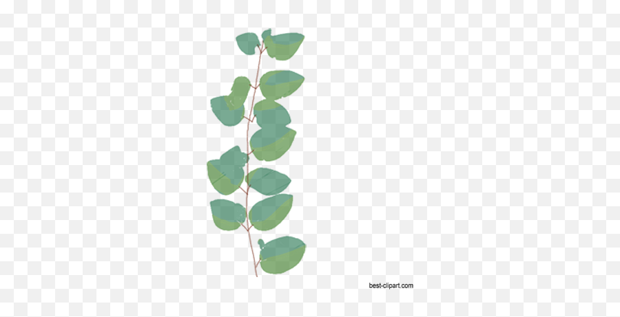 Free Watercolor Flowers Branches And Leaves Clip Art - American Aspen Emoji,Green Leaf Emoji