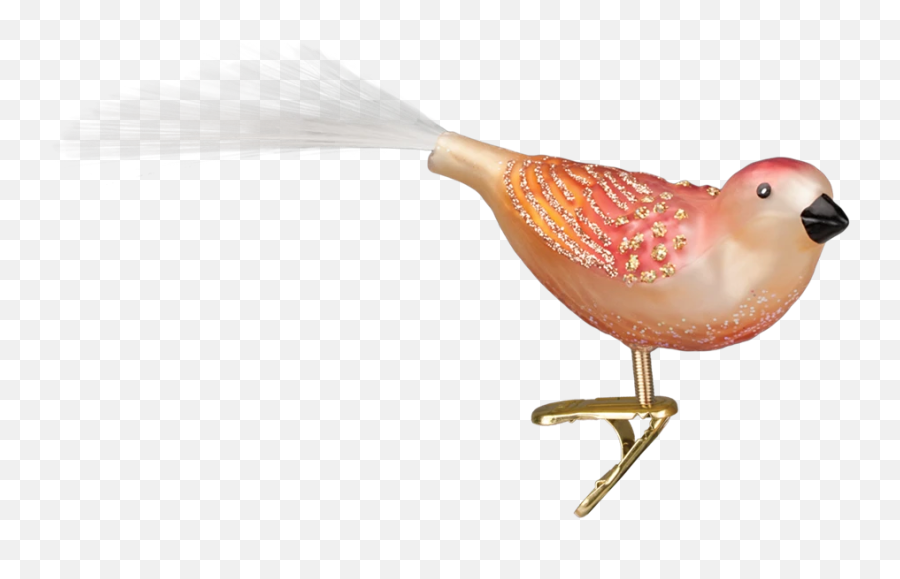 Christmas Is For The Birds - Putti Fine Furnishings Perching Bird Emoji,Cardinals Emoji