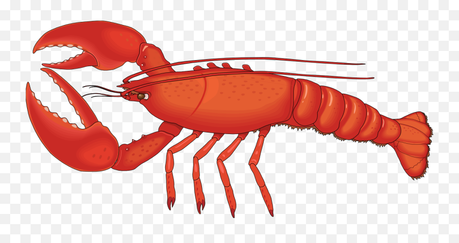 Clipart Of Lobster - Transparent Background Lobster Clipart Emoji,Lobster Emoji