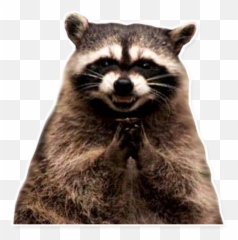 Meme Stickers For Telegram - Homework Memes Parents Emoji