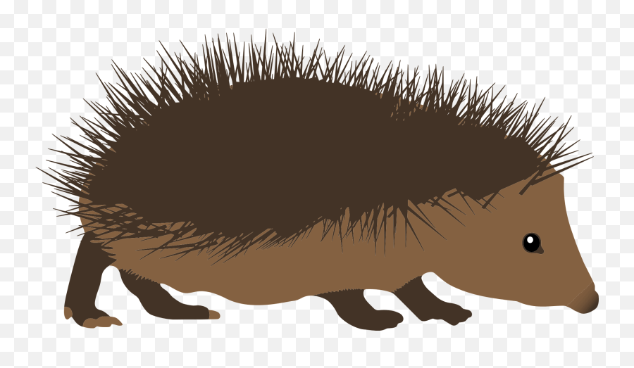 Hedgehog Clipart - Hedgehog Drawing Emoji,Porcupine Emoji