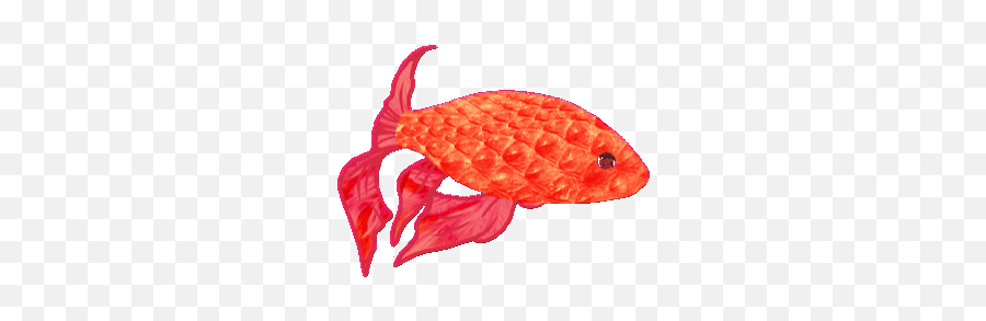 Top Insane Goldfish Stickers For - Fish Swimming Animated Gif Emoji,Insane Emoticons